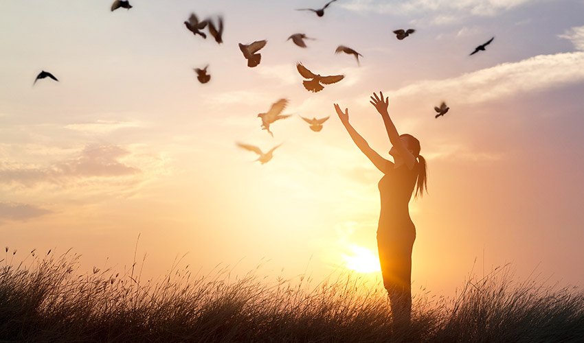 Your belief system creates your reality