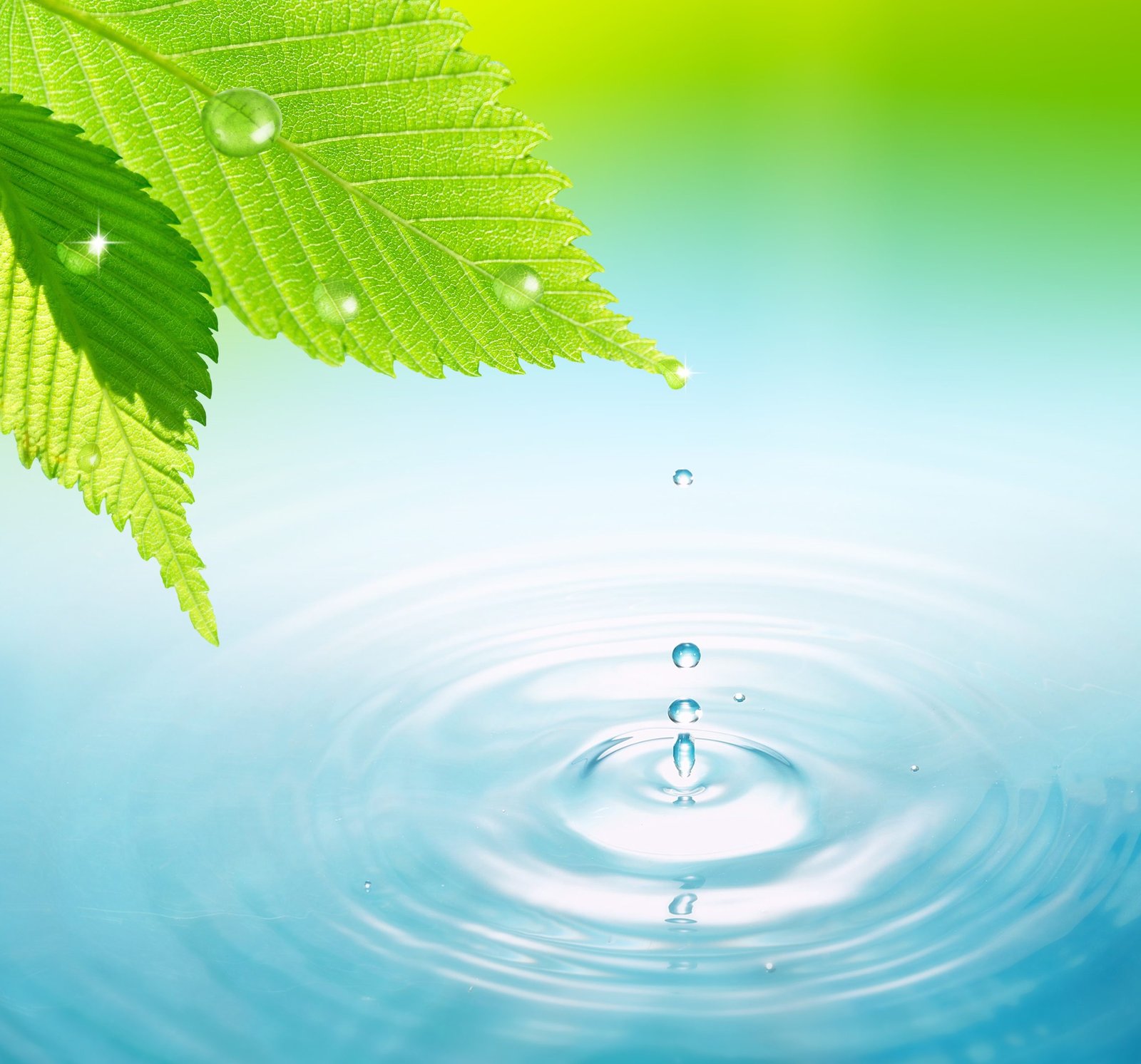 Ripple shutterstock_342048515