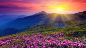 Socially Responsible Investing